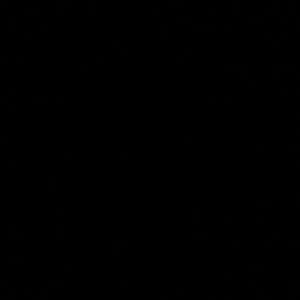 Meet your Posher, Maggie